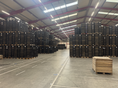 Highlighted image: Lelieseizoen in Bovenkarspel!